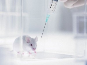 syringe-above-mouse-in-laboratory